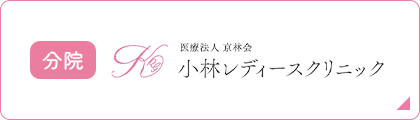 医療法人京林会 小林レディースクリニック